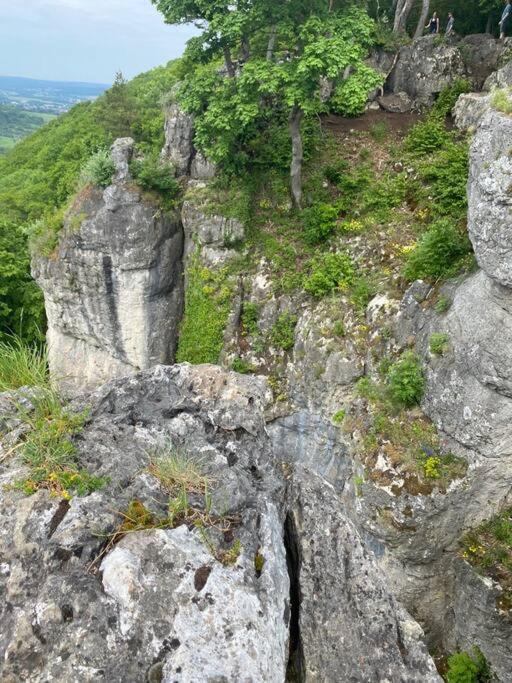 Laendliche Fewo Wildblume, 4 Km Zum Stausee Happurg Exteriér fotografie